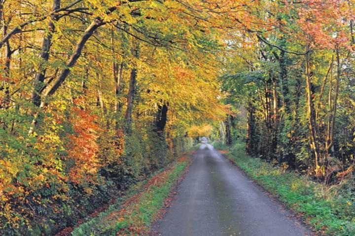 Greenway Guesthouse Mullingar Exteriör bild